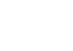 최적화 선언